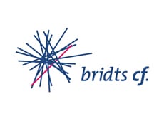 Logo: Bridts Corporate Finance GmbH & Co. KG